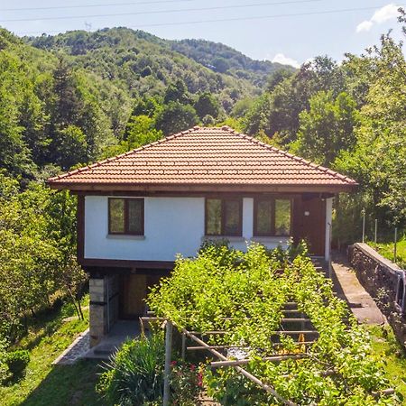 Holiday Home Lyubovo Габрово Экстерьер фото