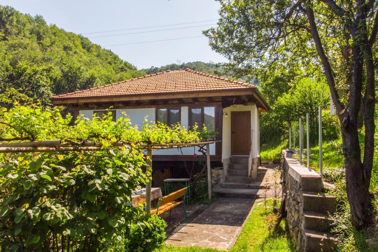 Holiday Home Lyubovo Габрово Экстерьер фото