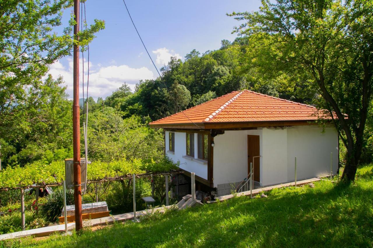 Holiday Home Lyubovo Габрово Экстерьер фото